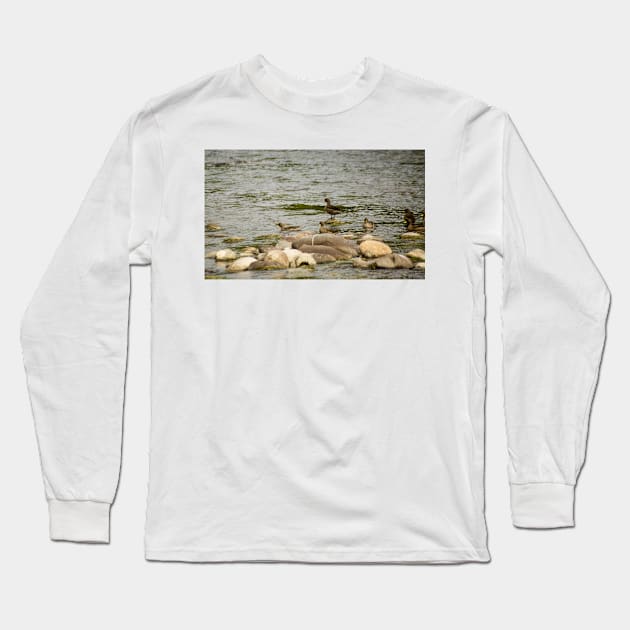 gli ducks Long Sleeve T-Shirt by pcfyi